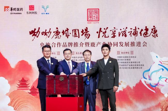 1762941347-04ee21ed37d12dc