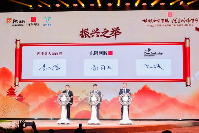 1762941347-4789a7a332e8b33