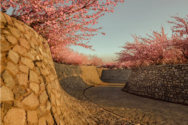 风景园林行业聚焦创新实践，山水比德集团董事长孙虎分享三大核心创新方向