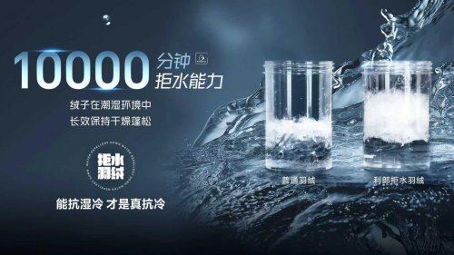 1764836859-71a5c6a22562958