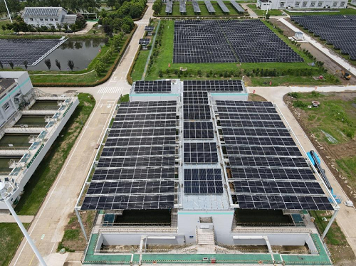 1775099157-bb1ff68f7f802e0