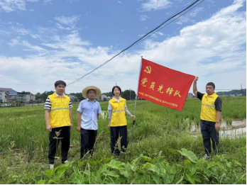 田间党旗红 农险暖三农——中国人寿财险上饶市中心支公司扎实做好农险理赔服务